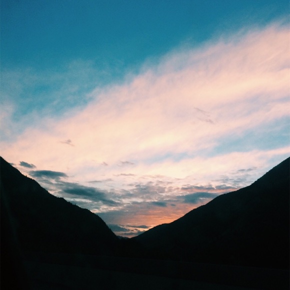 Meet your Posher, Gemma - Picture 1 of 1